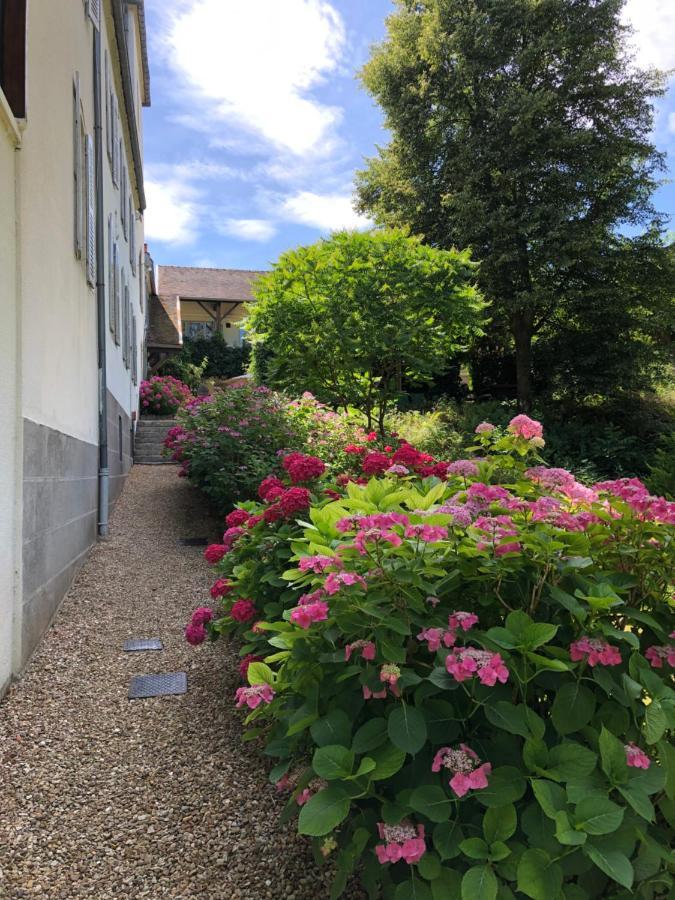 Chateau Saint Claude An Der Saone Mantoche Bagian luar foto
